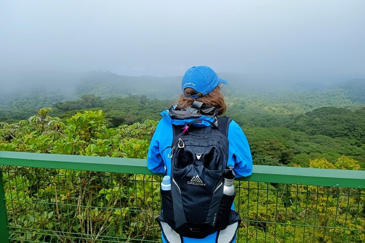 Private Guided Walk to the Santa Elena Cloud Forest Reserve - Photo 1 of 25